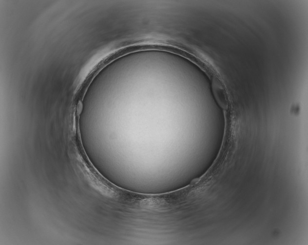 X0000115791368200911271217