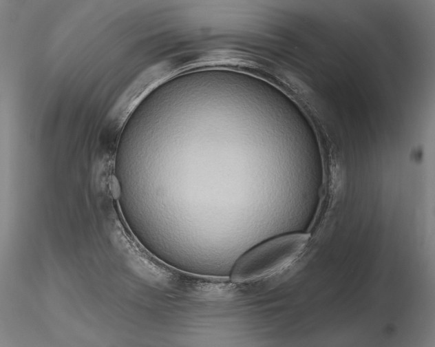 X0000115791369200911271217