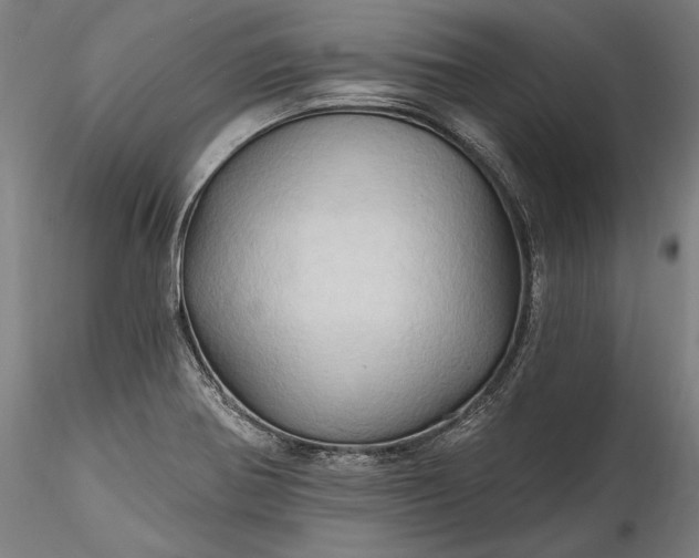 X0000115791370200911271217