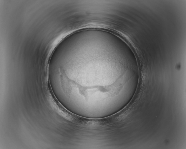 X0000115791371200911271217