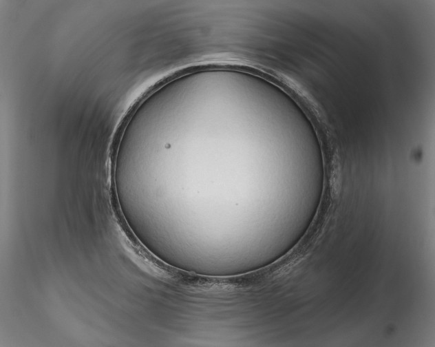 X0000115791372200911271217