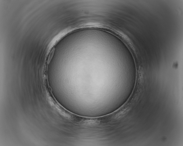 X0000115791373200911271217