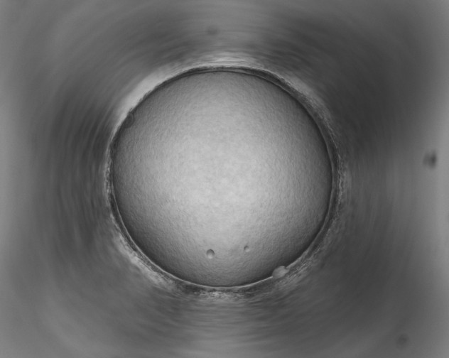 X0000115791374200911271217