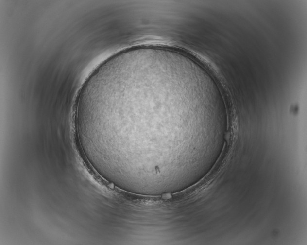 X0000115791375200911271217