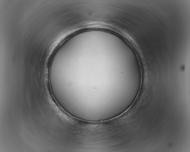 X0000115791376200911271217