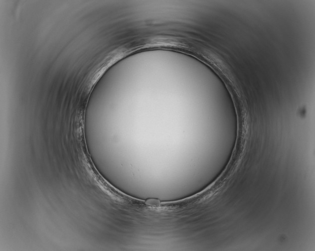 X0000115791377200911271217