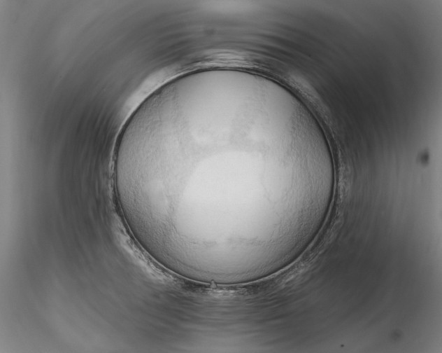 X0000115791378200911271217