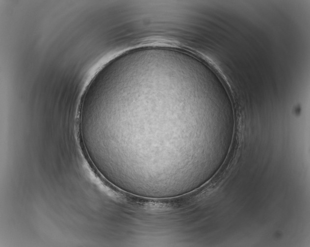 X0000115791379200911271217