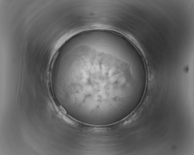 X0000115791381200911271217