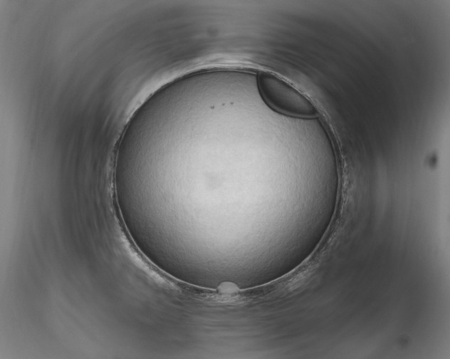 X0000115791382200911271217