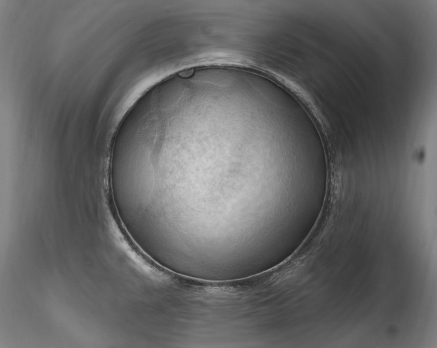 X0000115791383200911271217