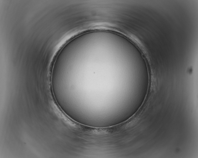 X0000115791384200911271217