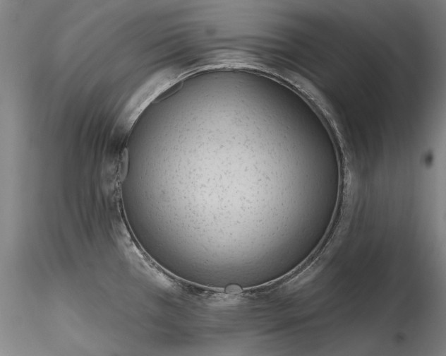 X0000115791385200911271217