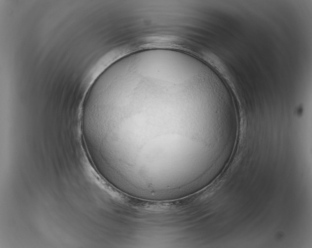 X0000115791386200911271217