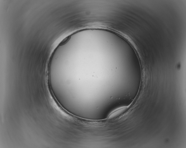 X0000115791387200911271217