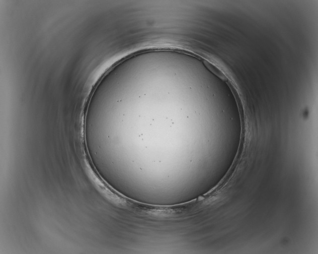 X0000115791388200911271217