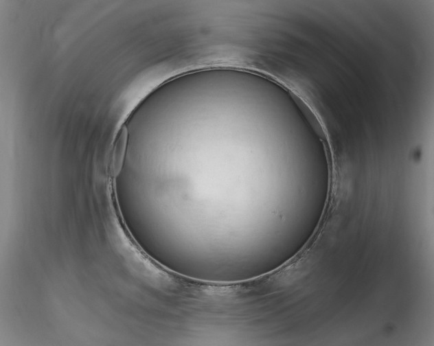 X0000115791389200911271217