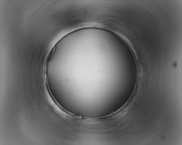 X0000115791391200911271217