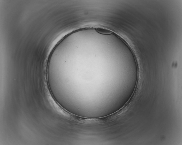 X0000115791392200911271217