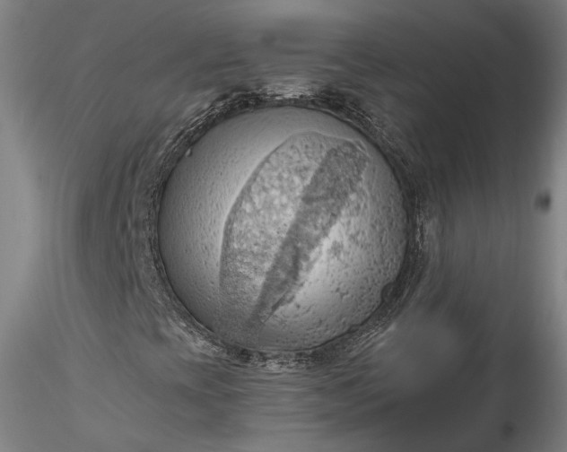 X0000115791393200911271216