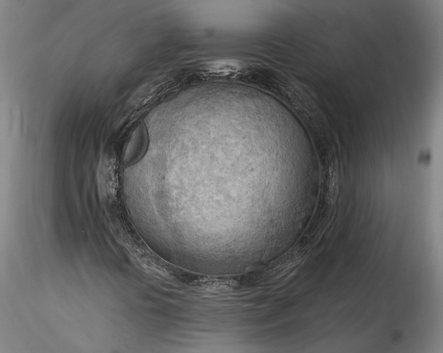 X0000115791394200911271216