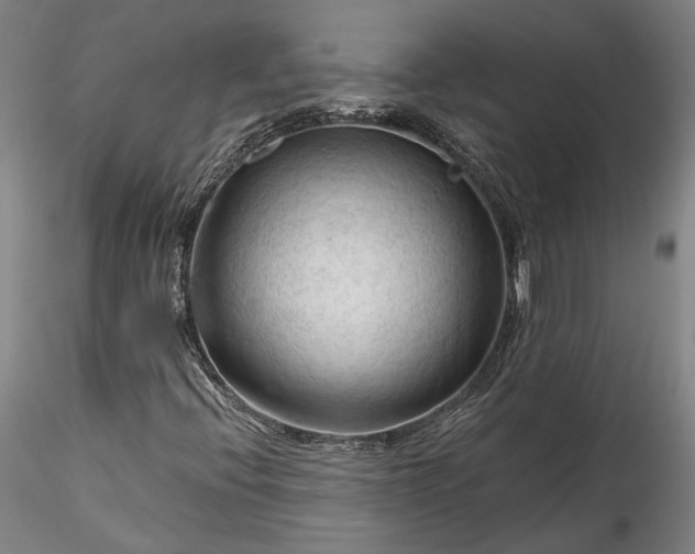 X0000115791396200911271216