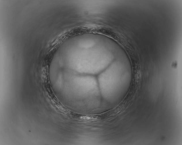 X0000115791397200911271216