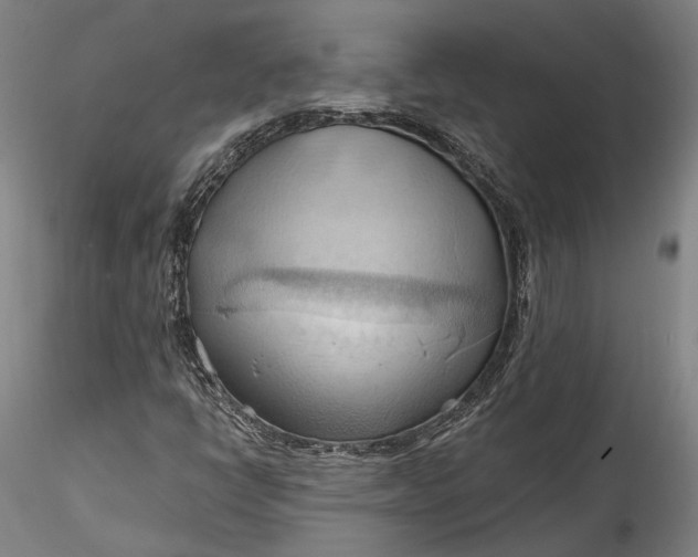 X0000115791398200911271216