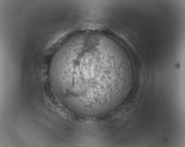 X0000115791399200911271216