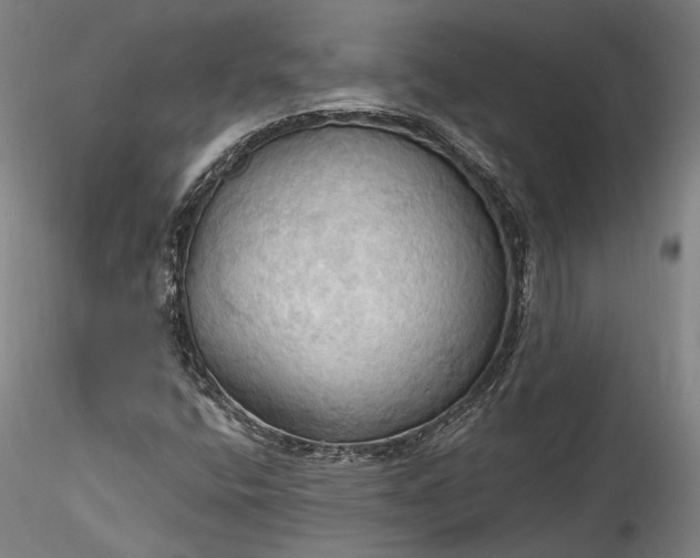 X0000115791400200911271216