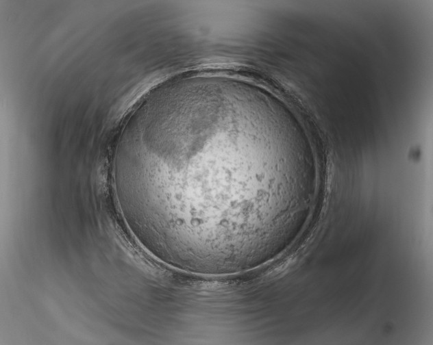 X0000115791401200911271216