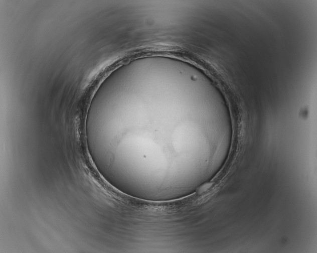 X0000115791402200911271216