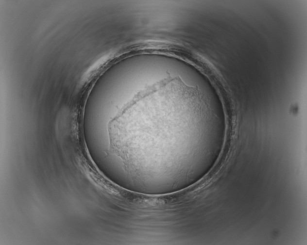 X0000115791403200911271216