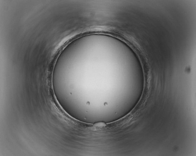 X0000115791404200911271216