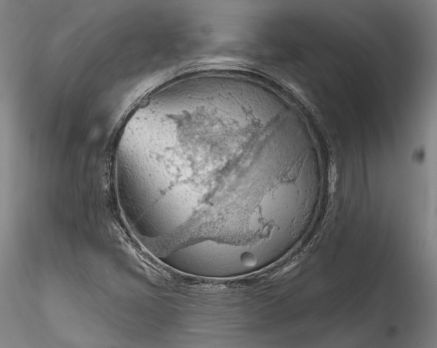 X0000115791405200911271216