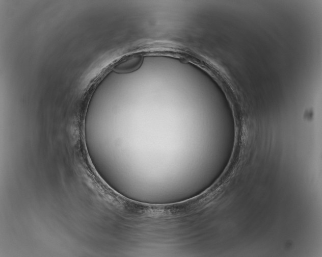 X0000115791407200911271216