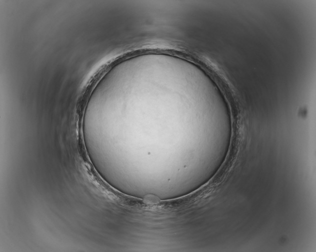 X0000115791408200911271216