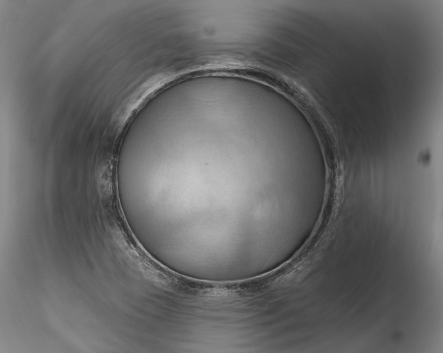 X0000115791409200911271216