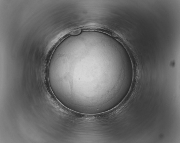 X0000115791410200911271216