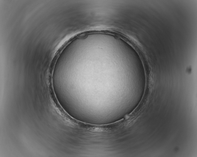 X0000115791412200911271216