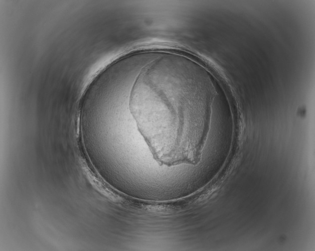 X0000115791413200911271216