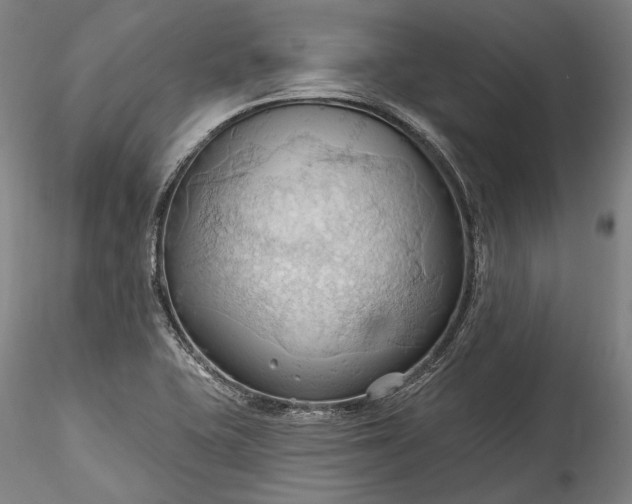 X0000115791415200911271216