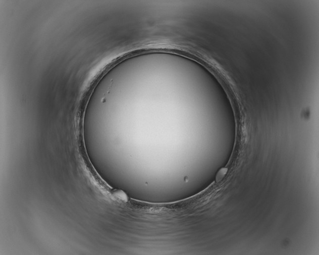 X0000115791416200911271216