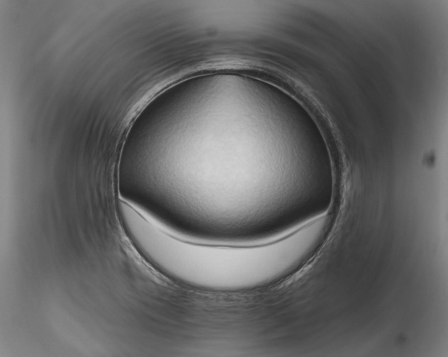 X0000115791417200911271216