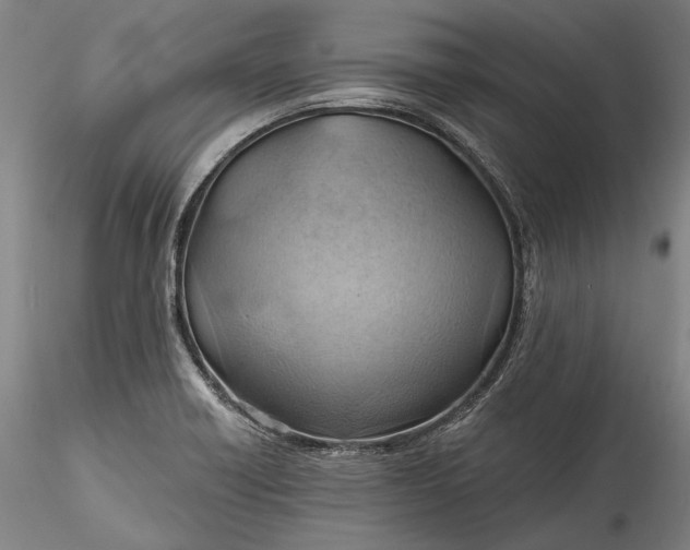 X0000115791418200911271216