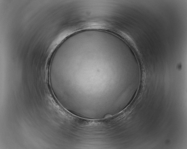 X0000115791419200911271217