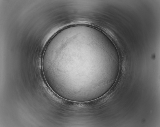 X0000115791420200911271217