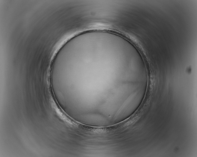 X0000115791421200911271217