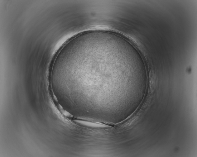 X0000115791422200911271217