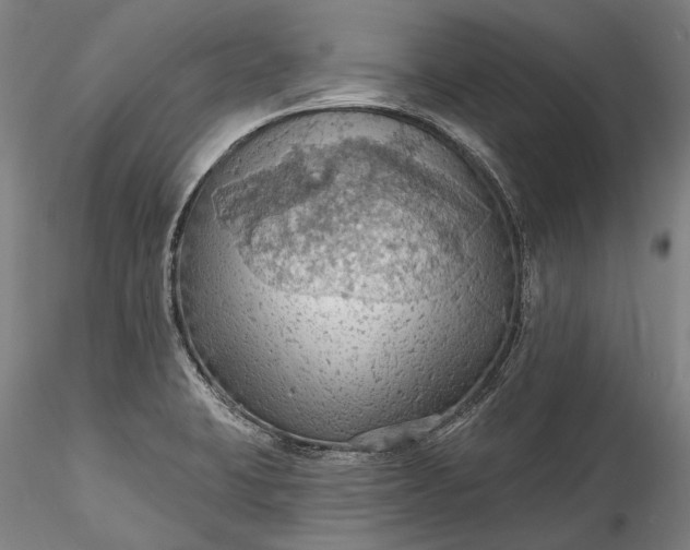 X0000115791423200911271217